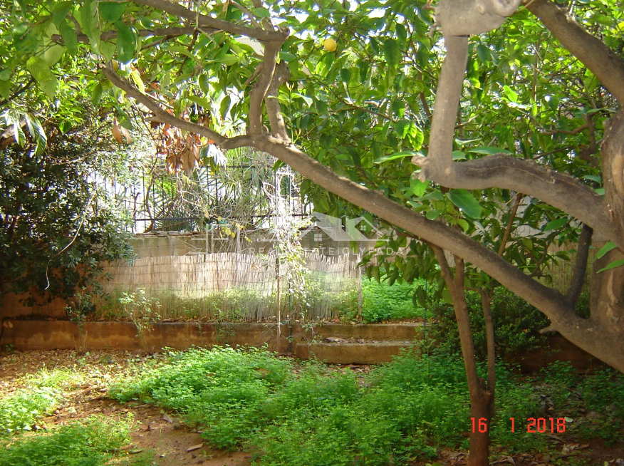 Gallery image 18