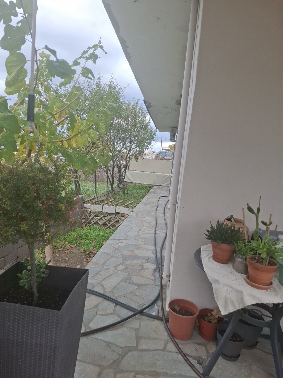 Gallery image 6