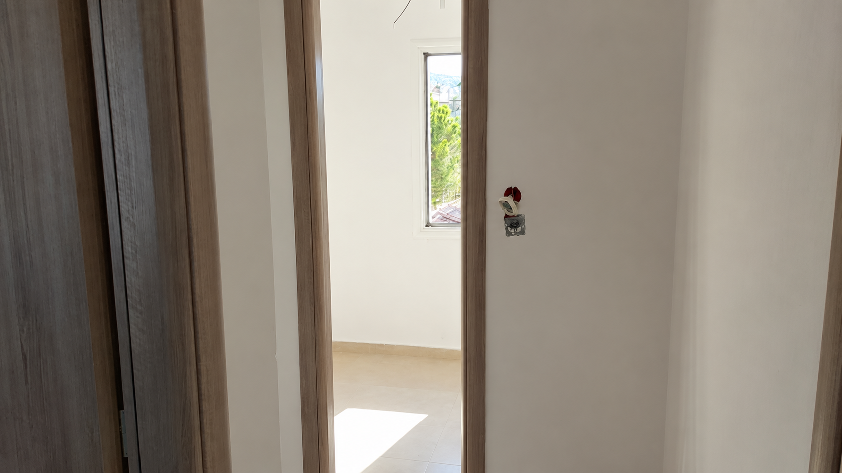 Gallery image 15