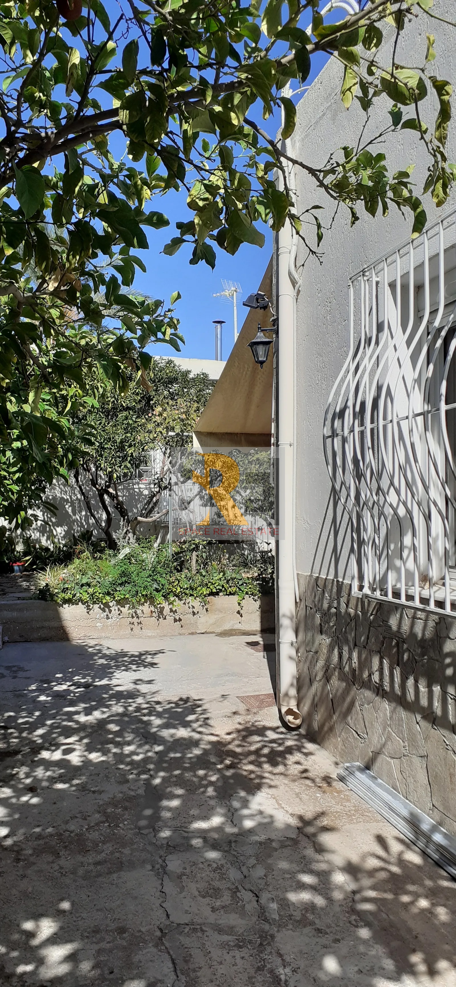 Gallery image 18