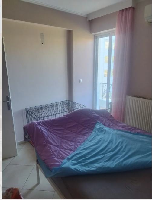 Gallery image 12