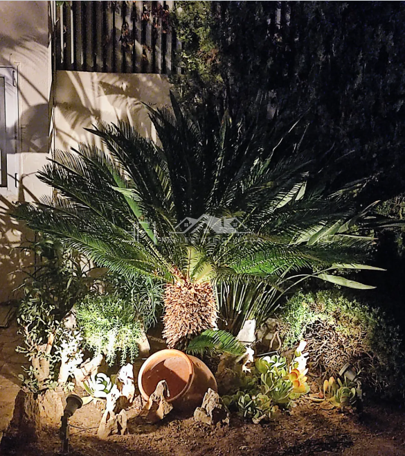 Gallery image 10