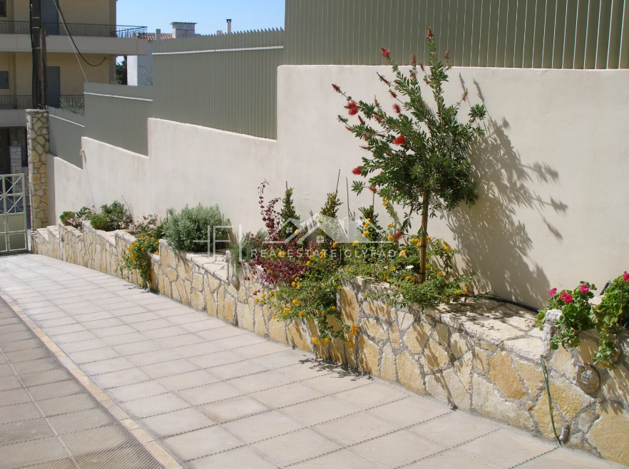 Gallery image 11