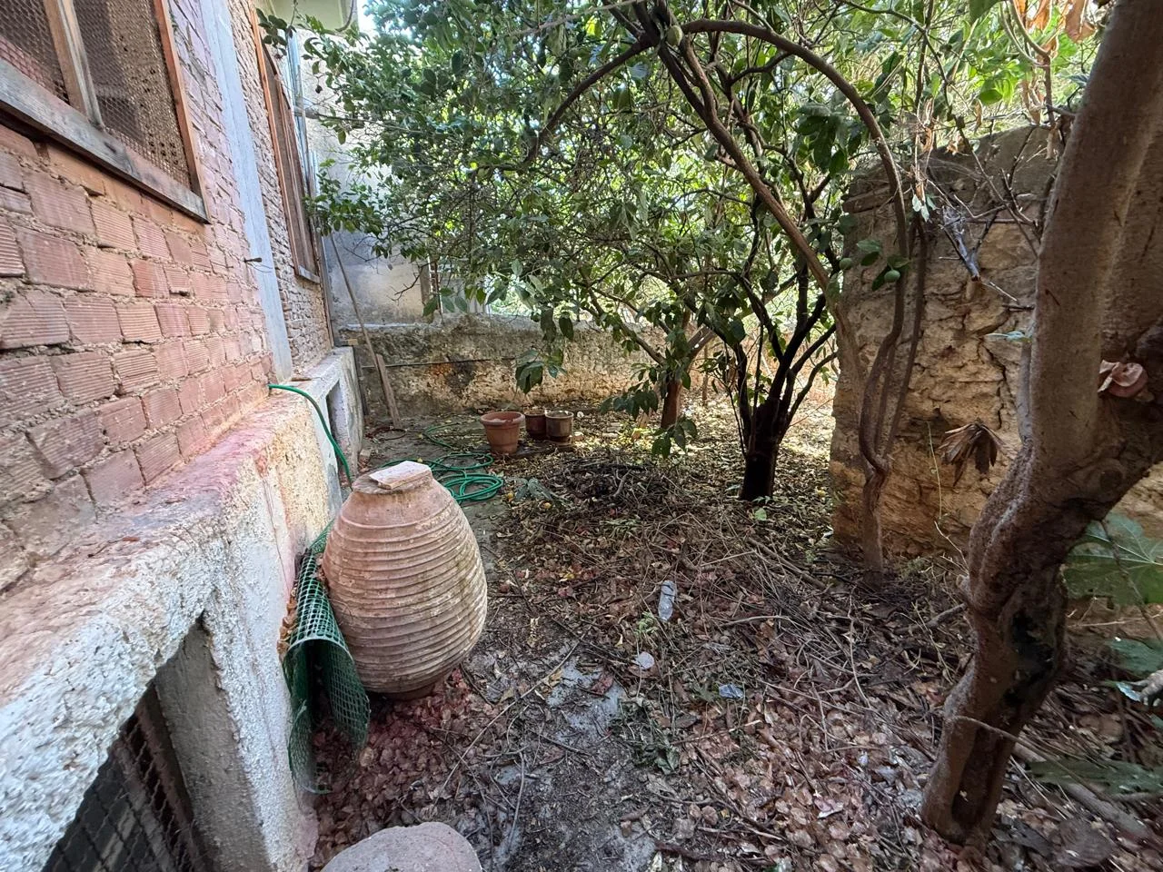 Gallery image 13