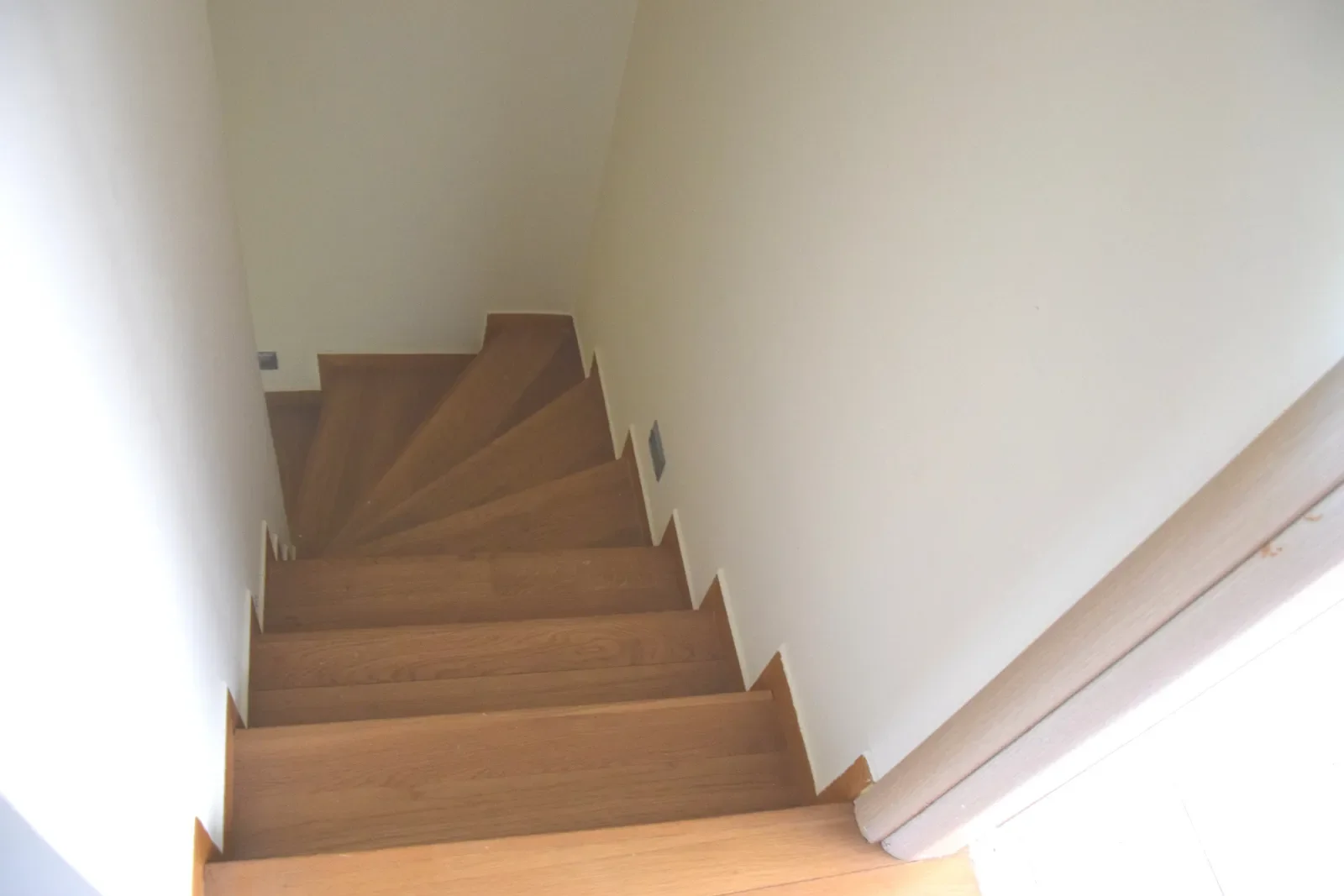 Gallery image 7