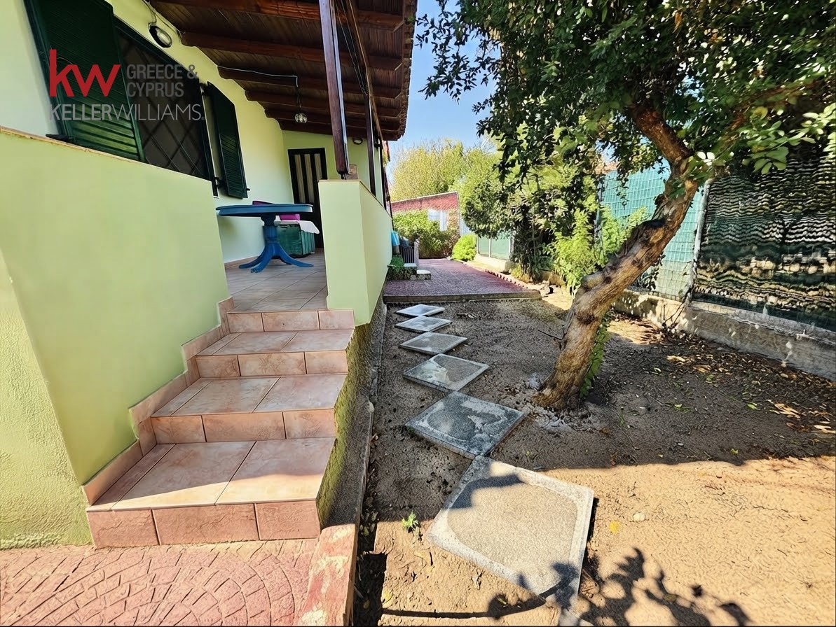 Gallery image 18