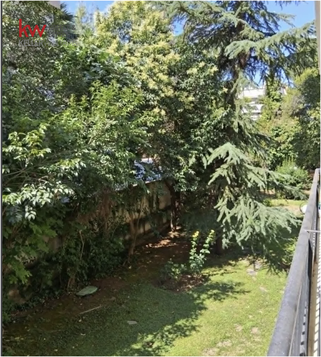 Gallery image 13