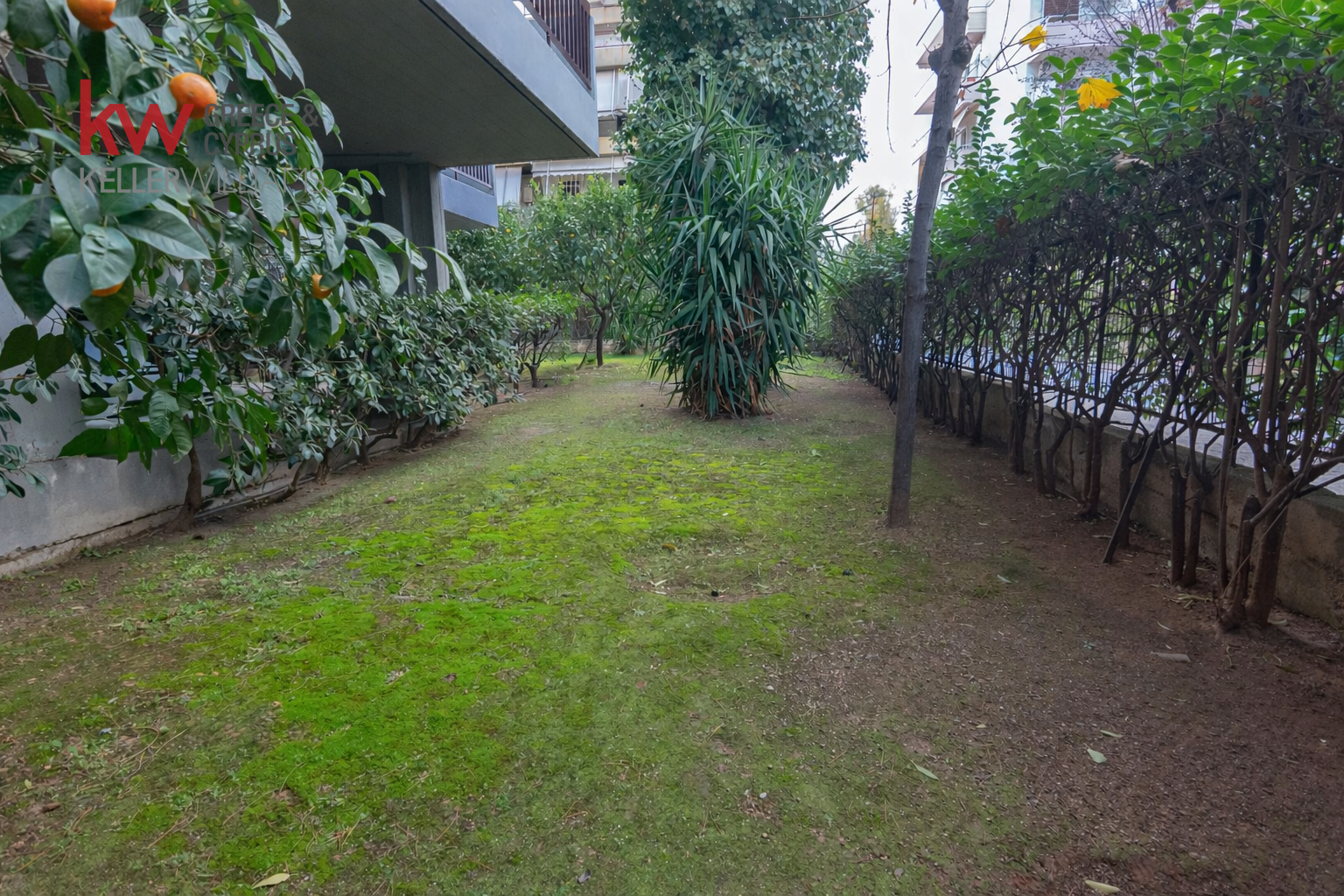 Gallery image 19