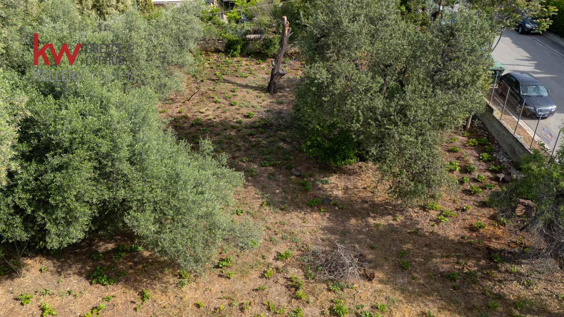 Gallery image 9