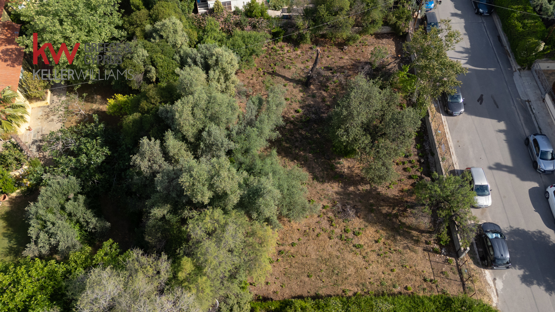 Gallery image 6