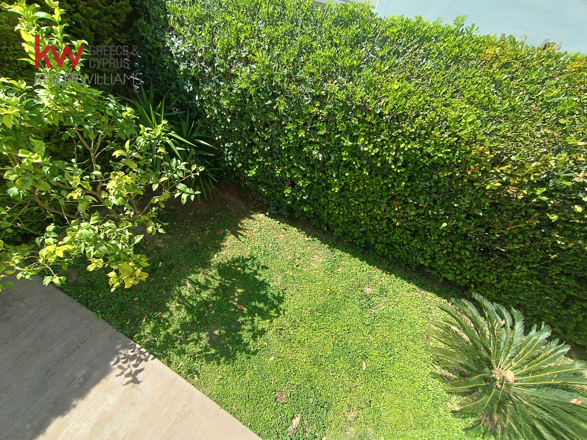 Gallery image 36