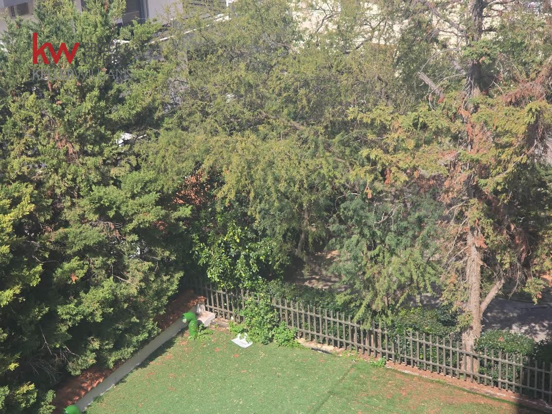 Gallery image 25