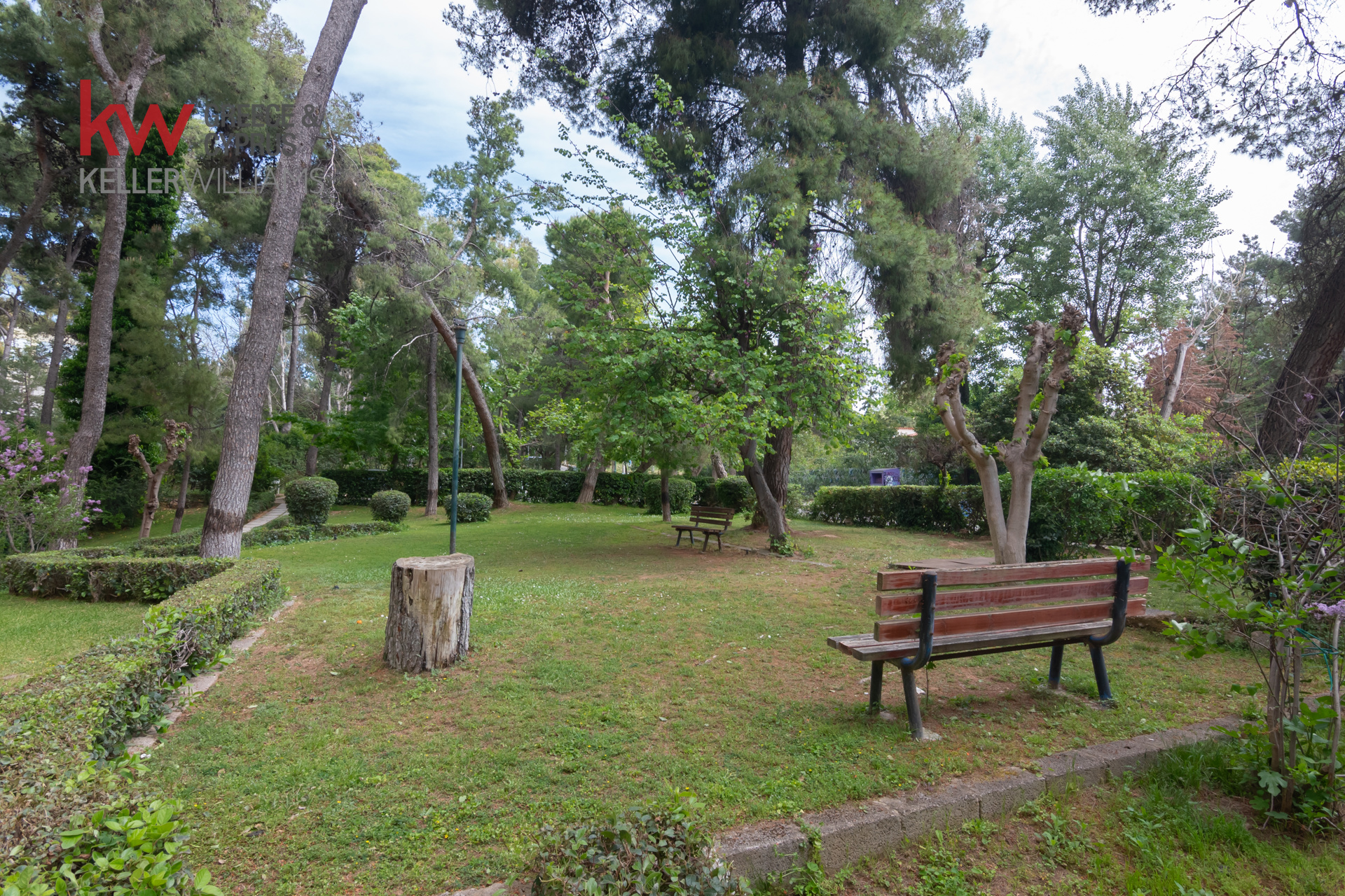 Gallery image 25