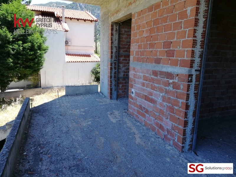 Gallery image 15