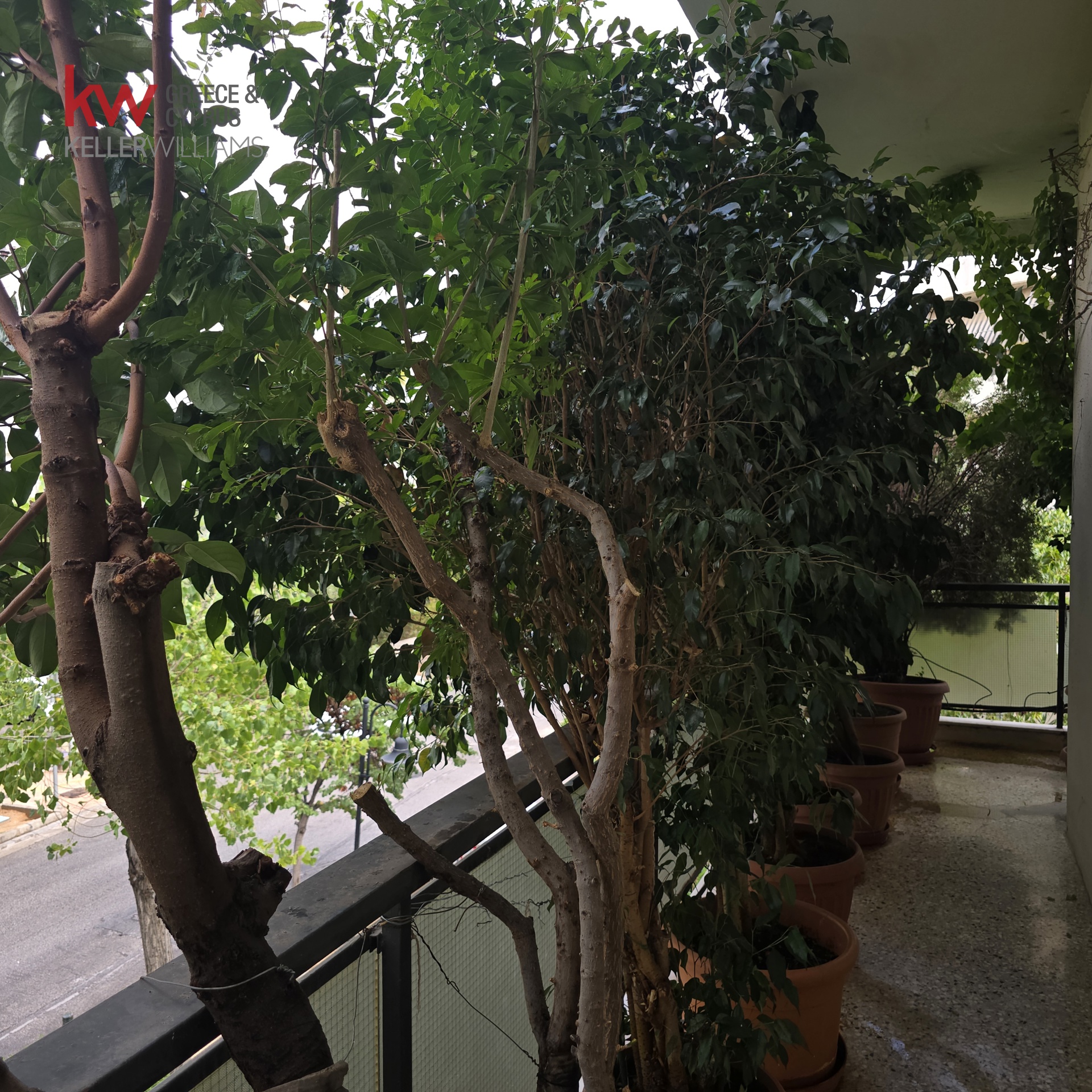 Gallery image 22