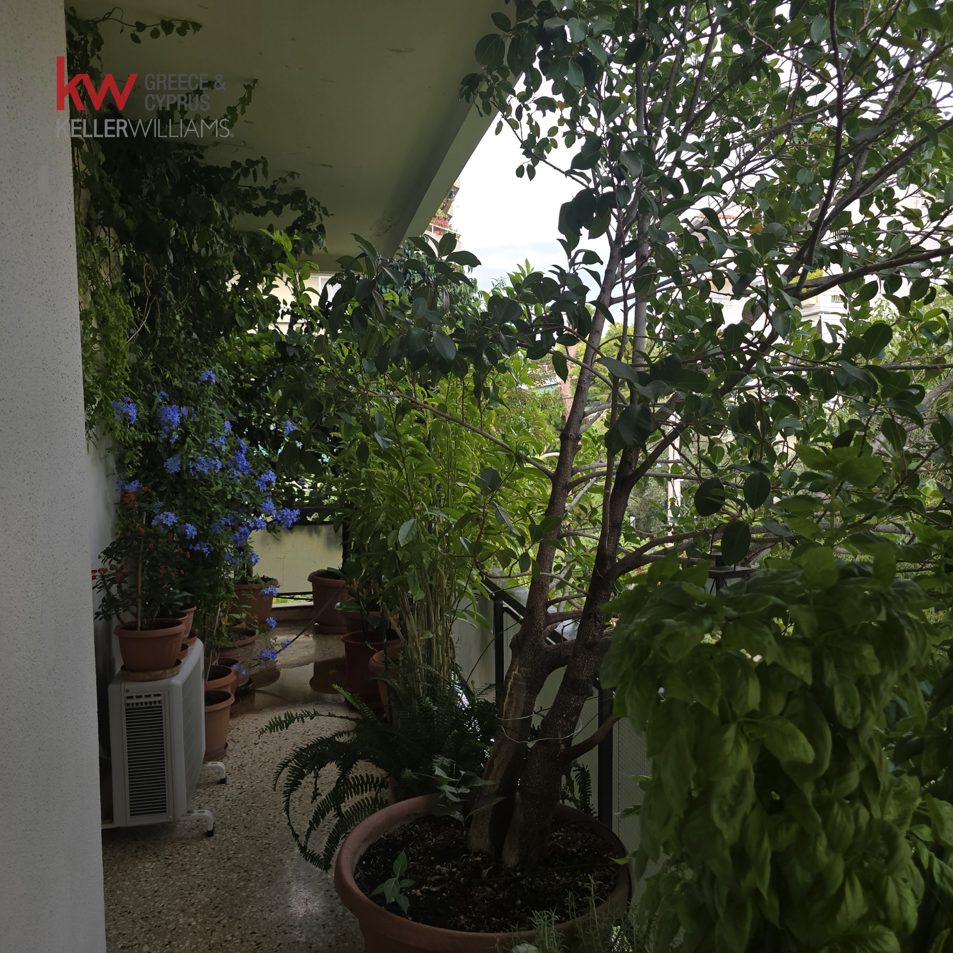 Gallery image 17