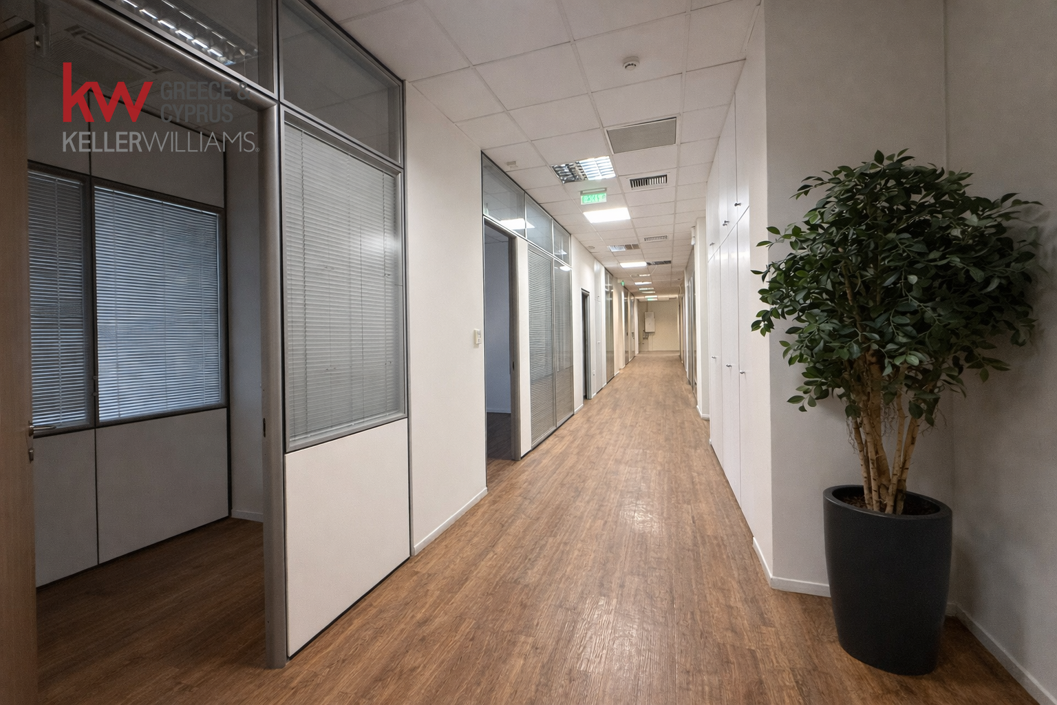 Gallery image 12