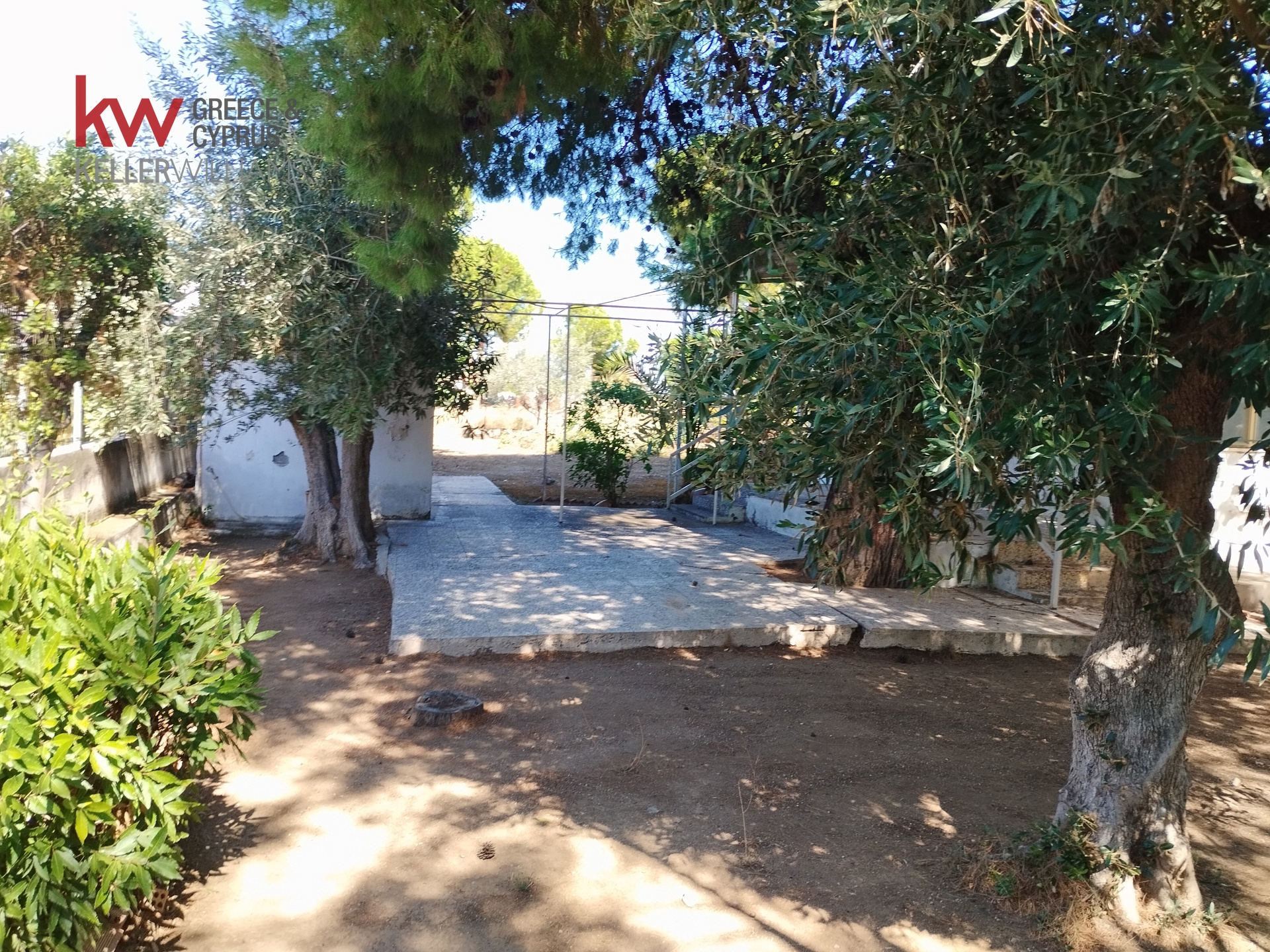 Gallery image 21