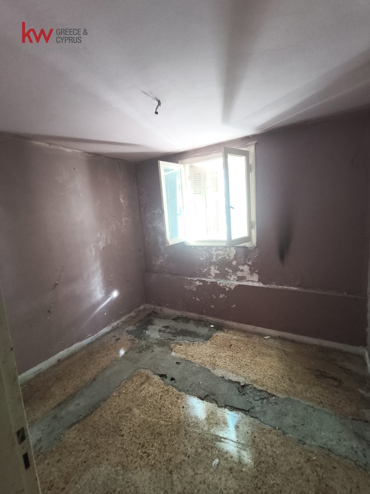 Gallery image 15