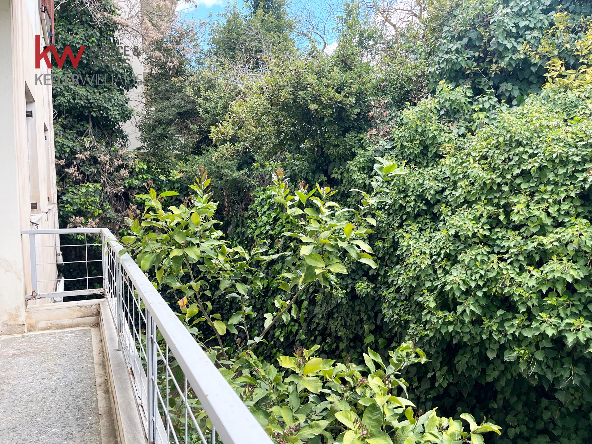 Gallery image 17