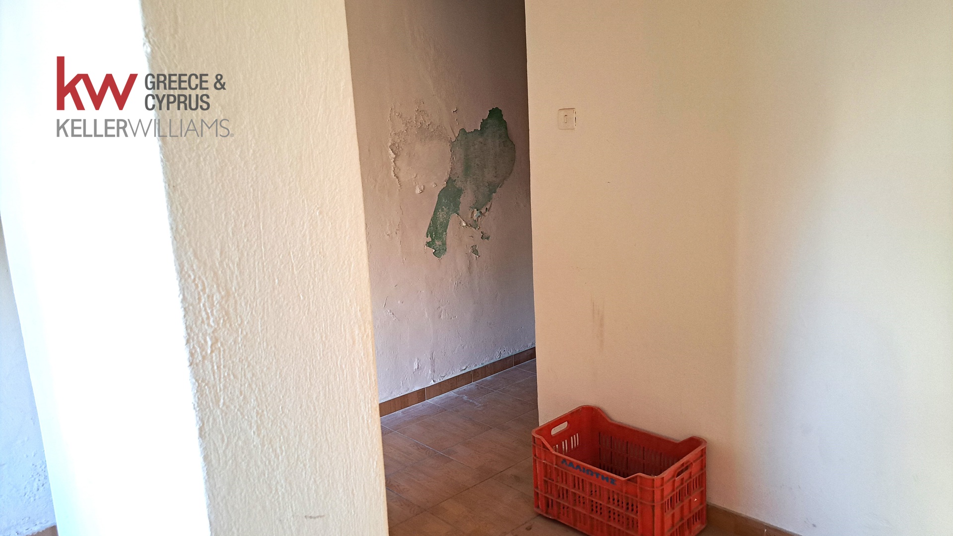 Gallery image 8
