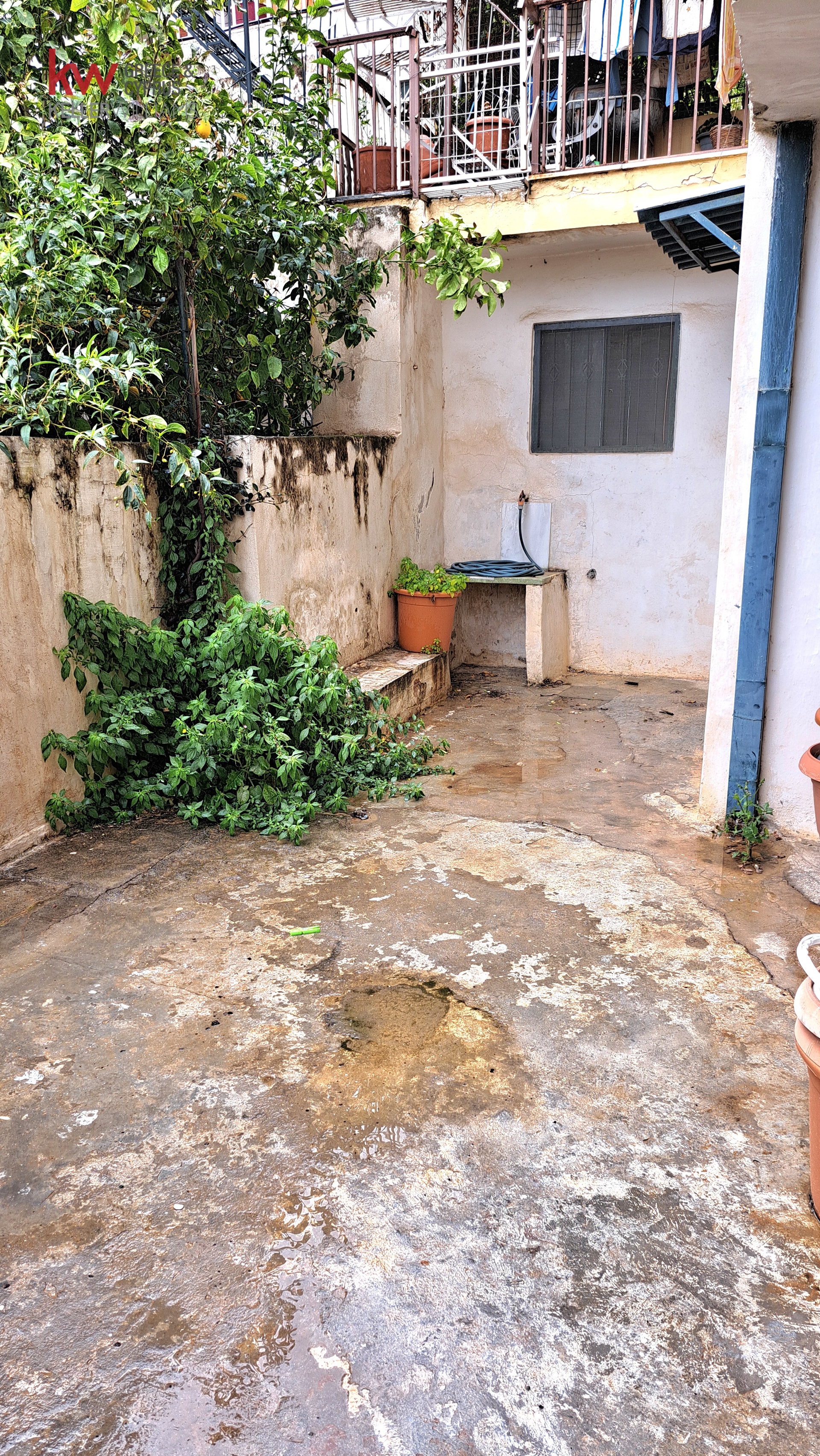 Gallery image 20