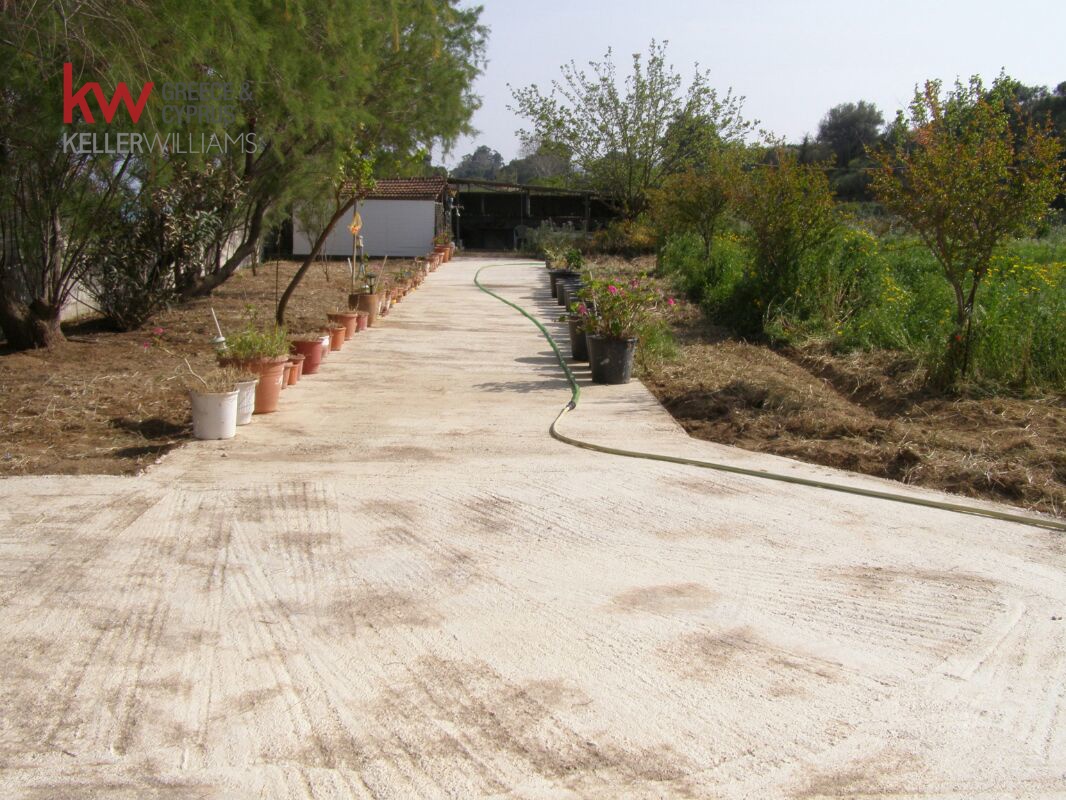 Gallery image 6