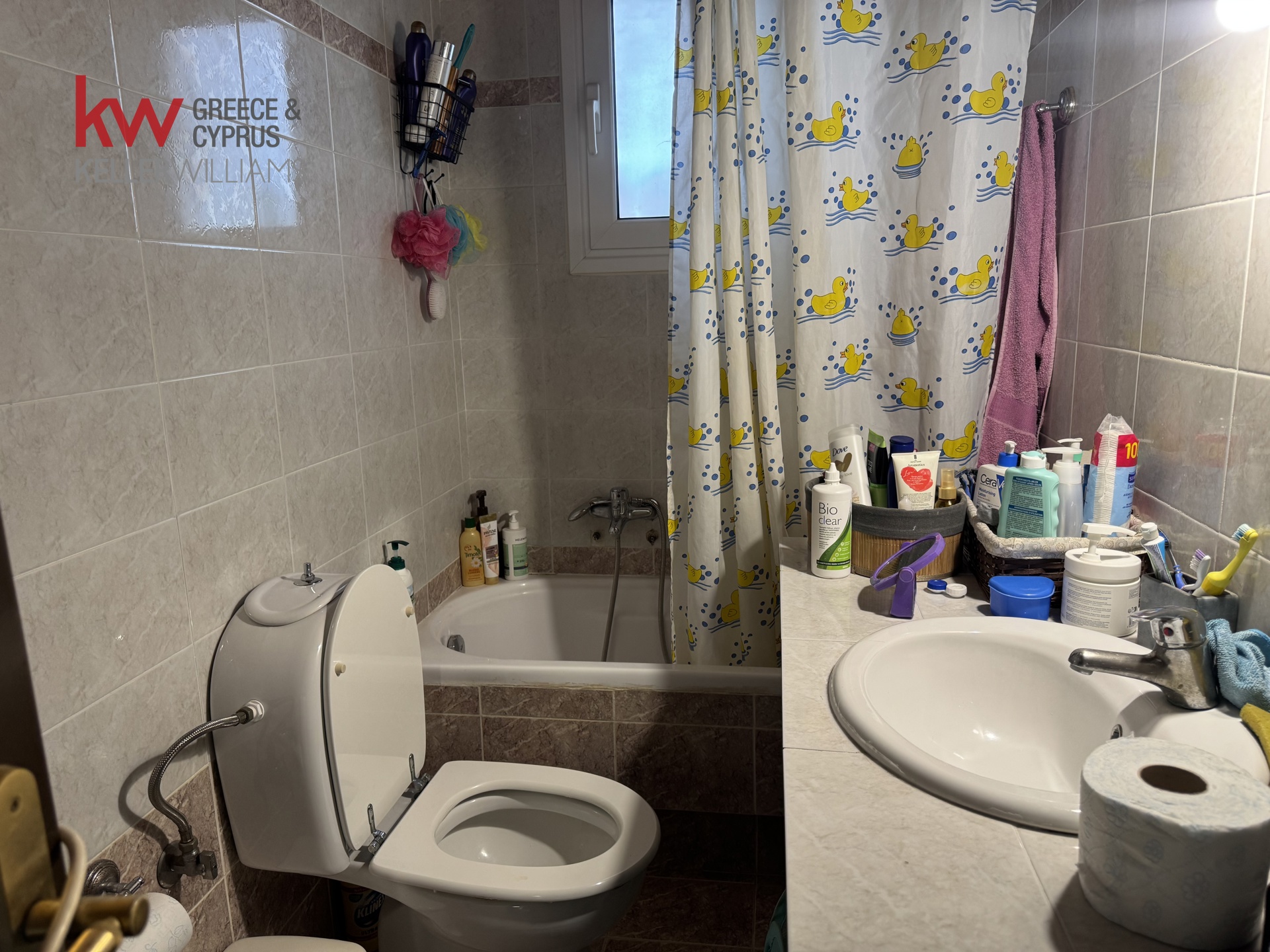 Gallery image 14