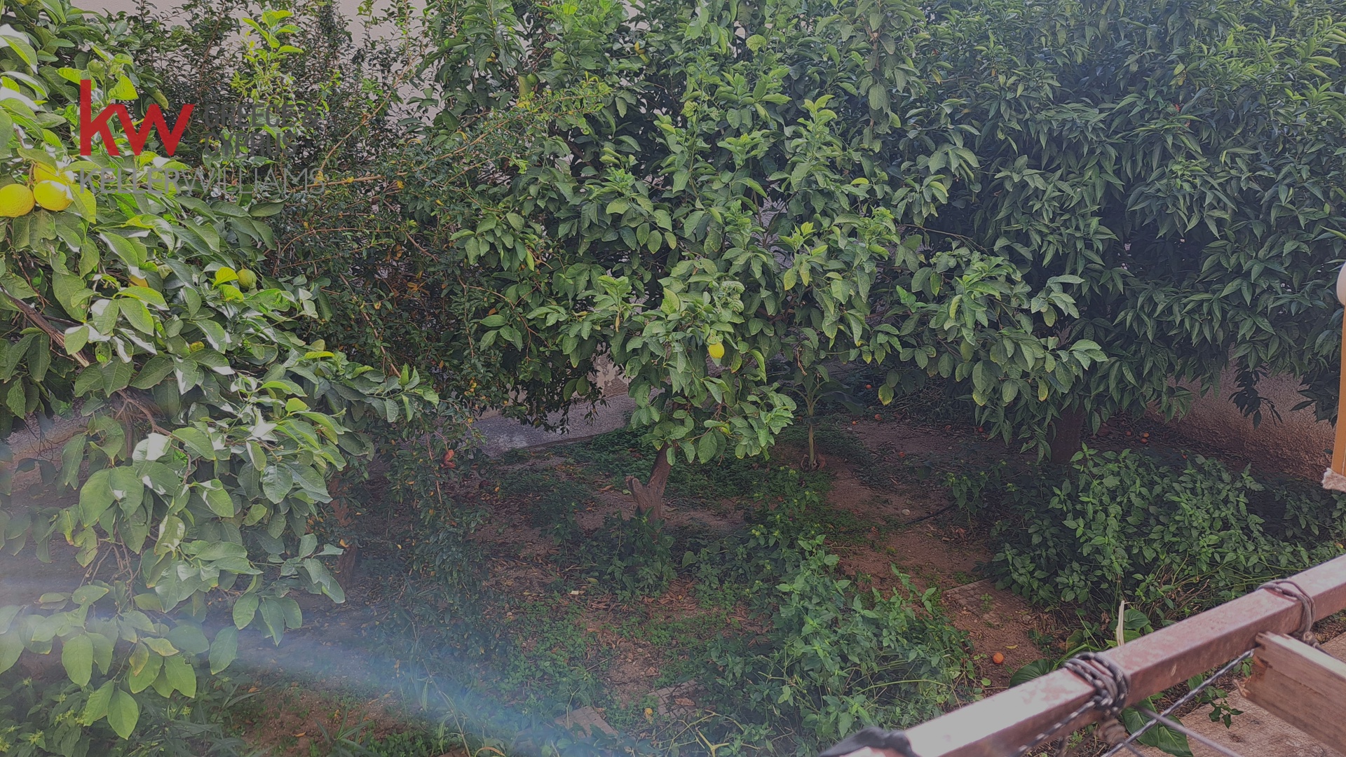 Gallery image 11