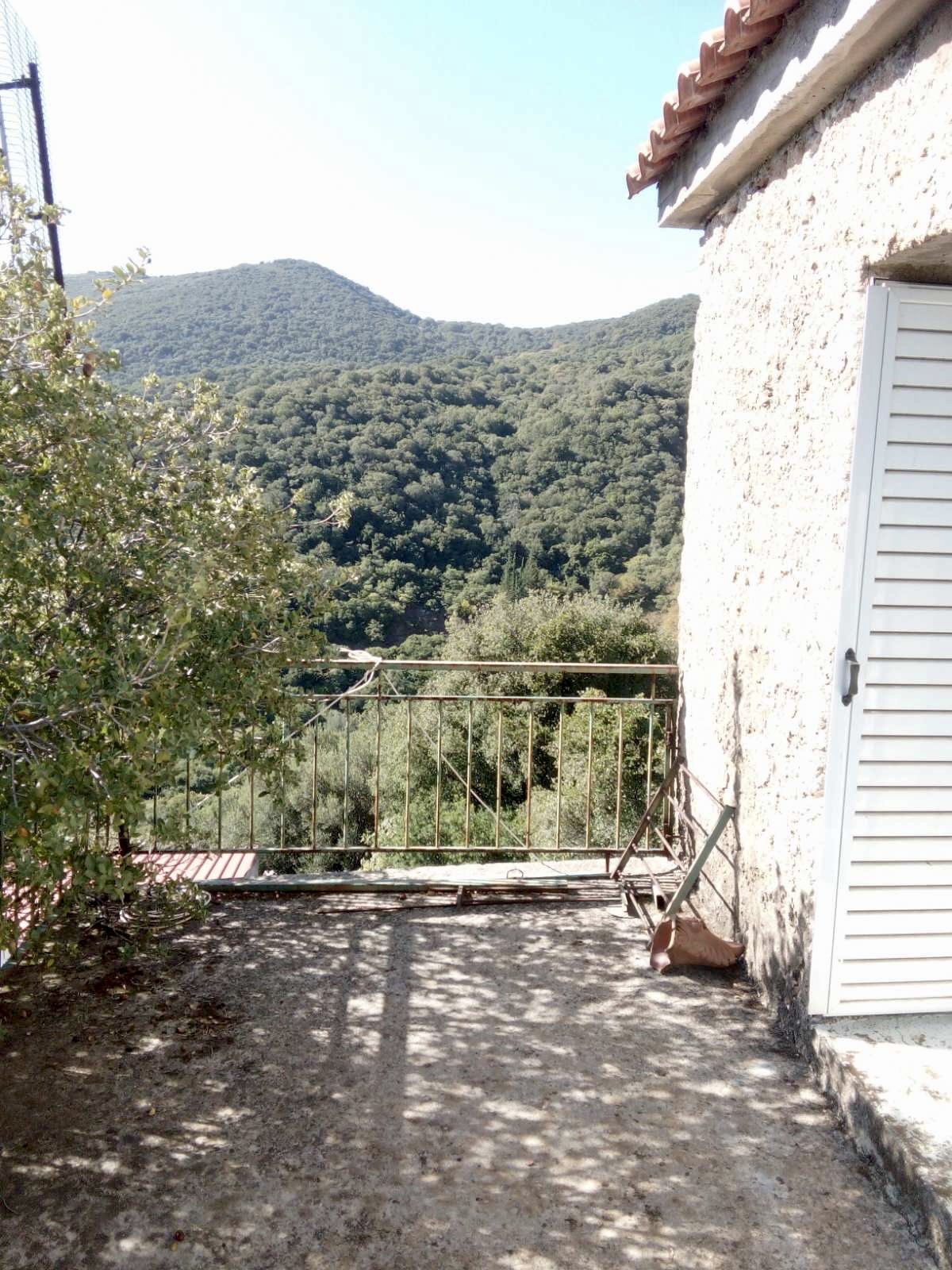 Gallery image 23