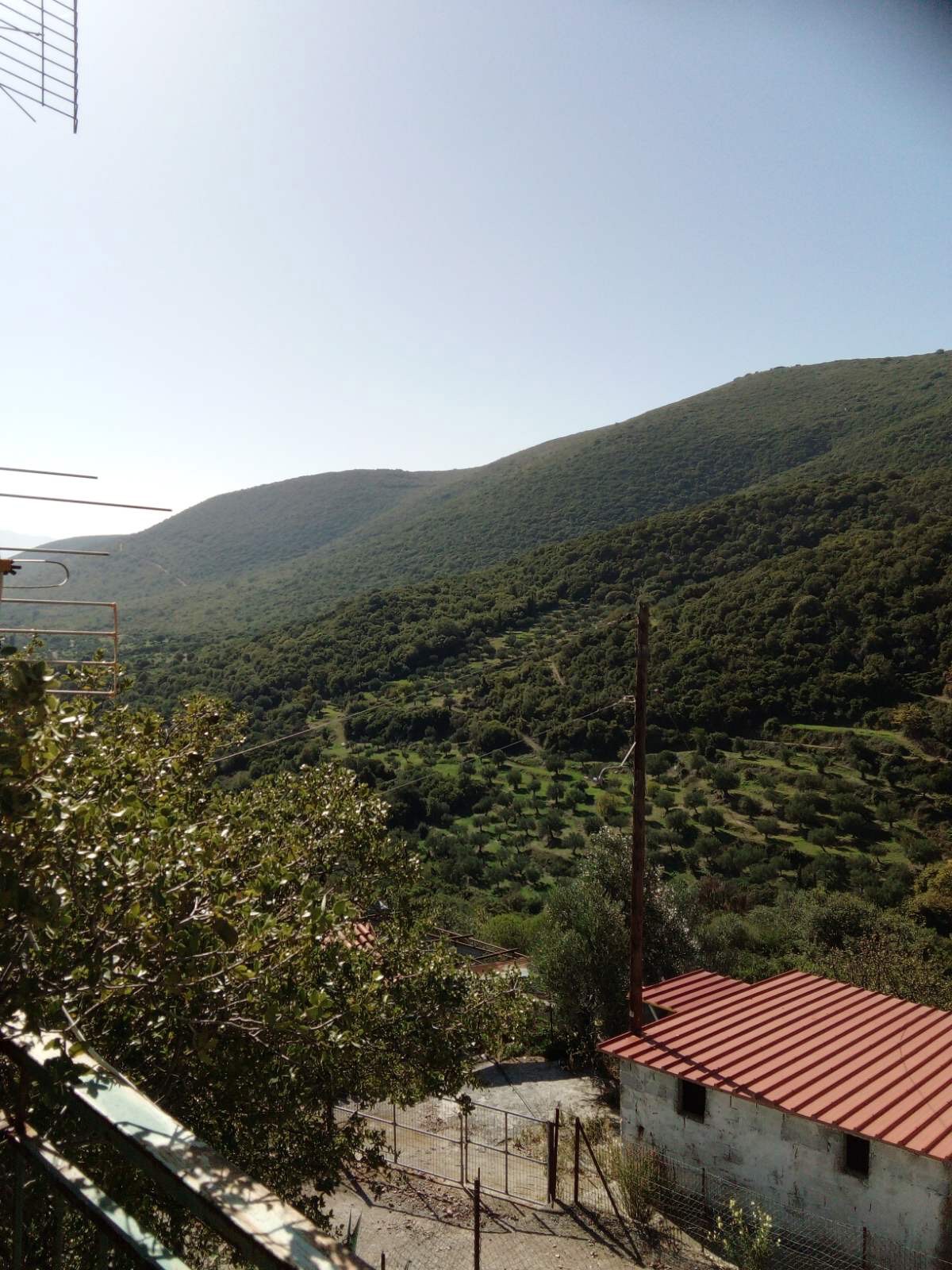 Gallery image 13