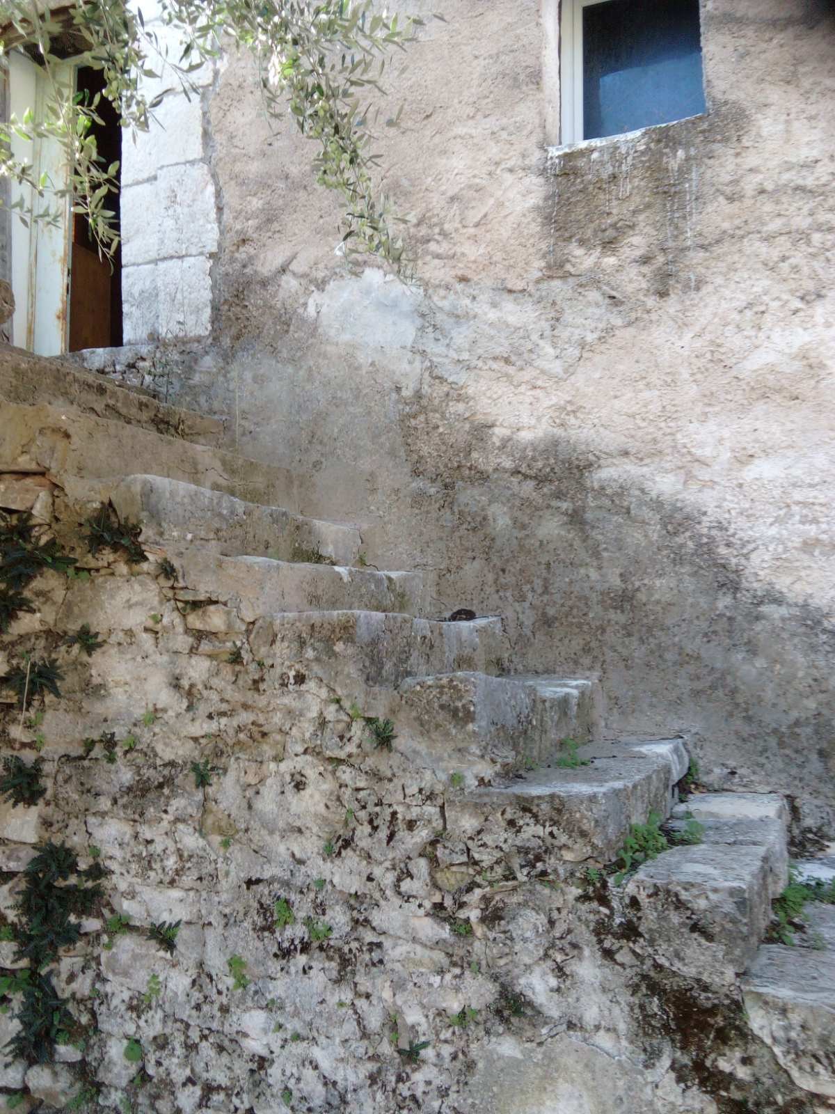 Gallery image 14