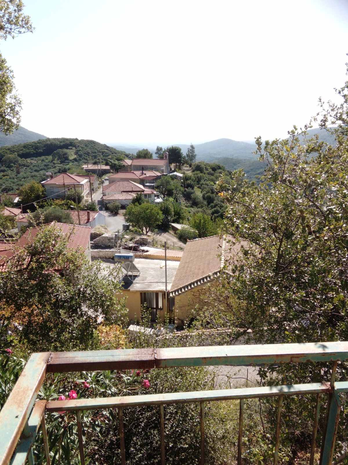 Gallery image 10
