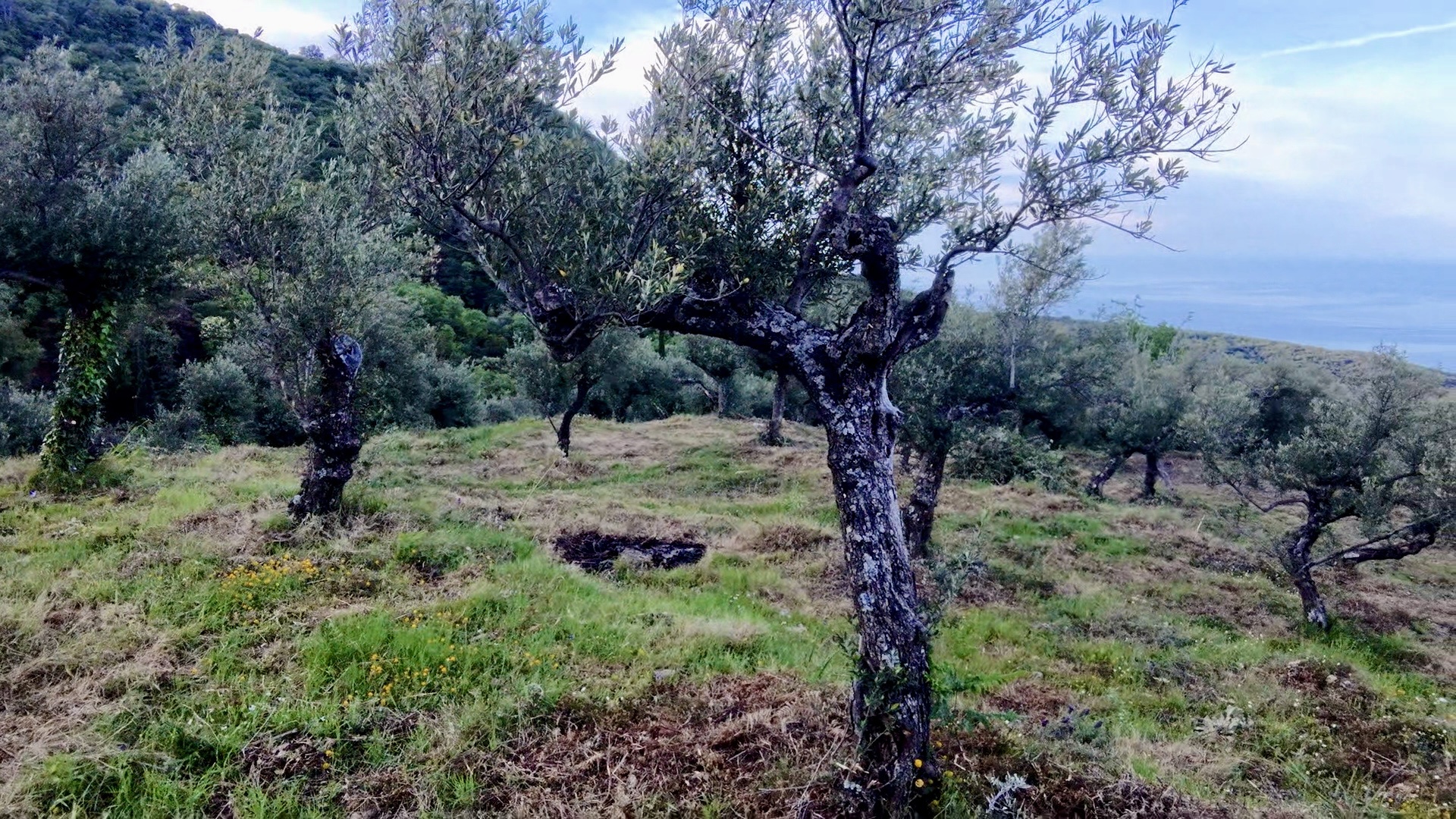 Gallery image 29