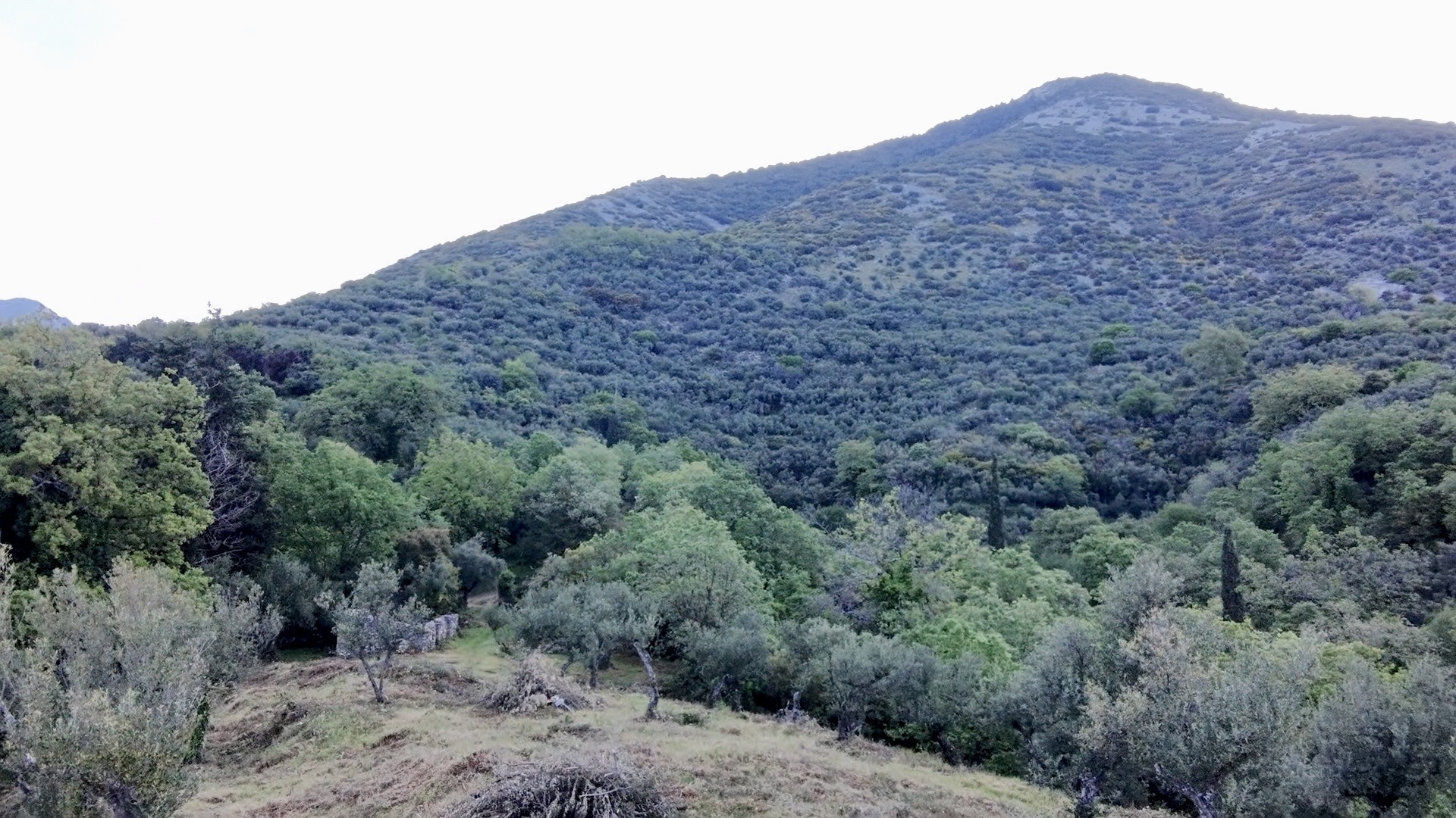 Gallery image 11