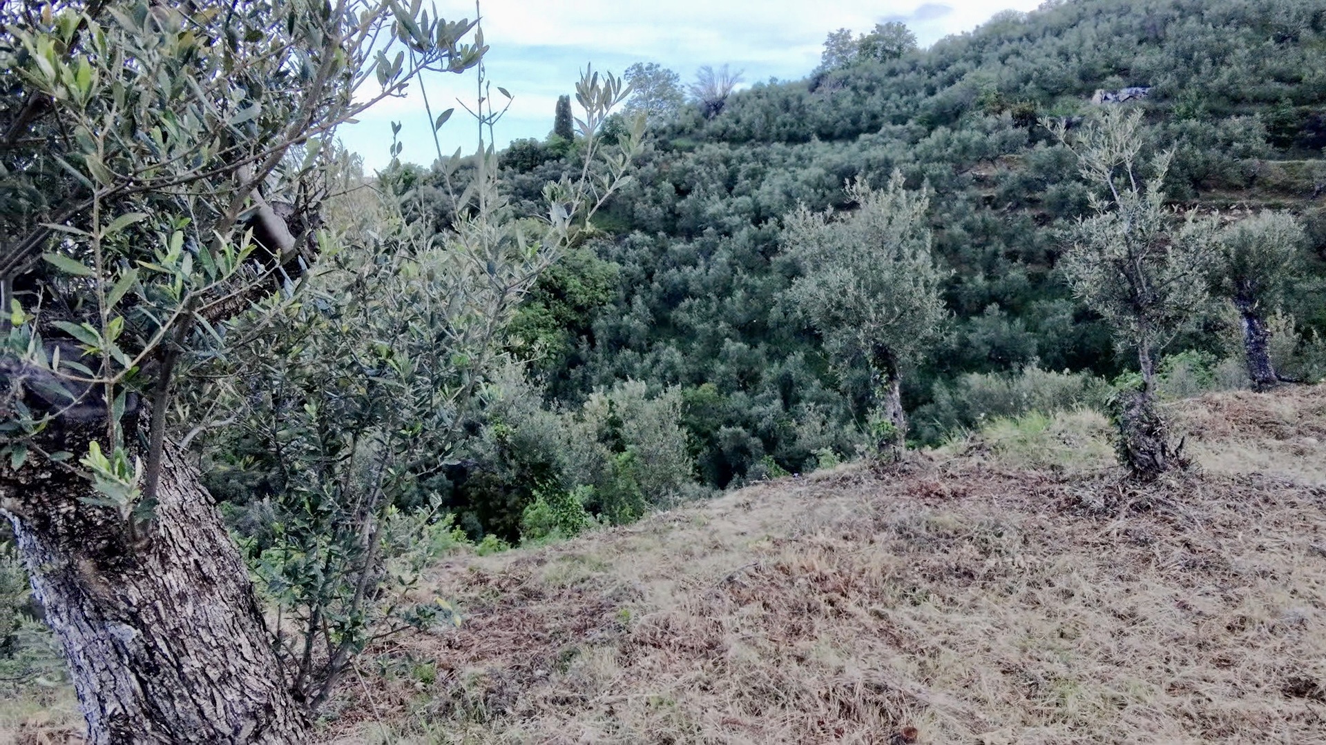 Gallery image 7