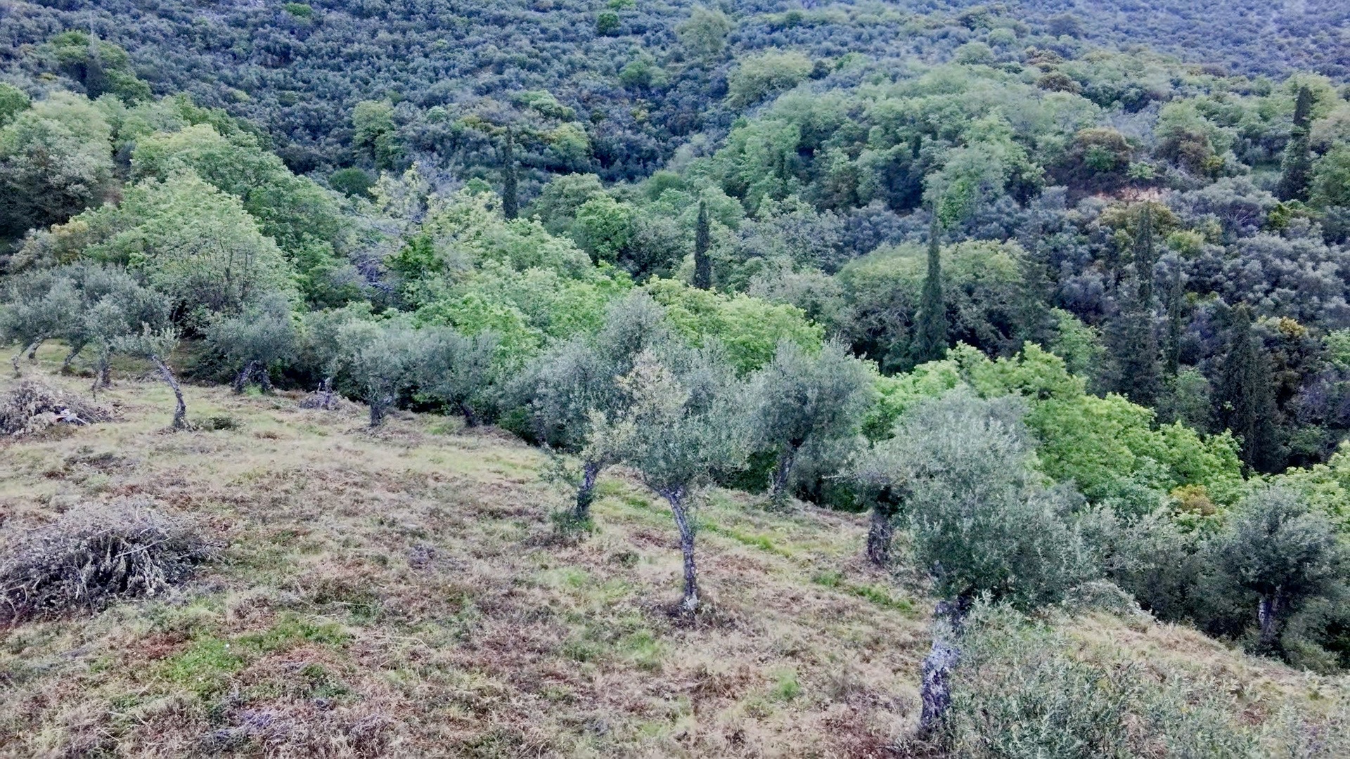 Gallery image 28