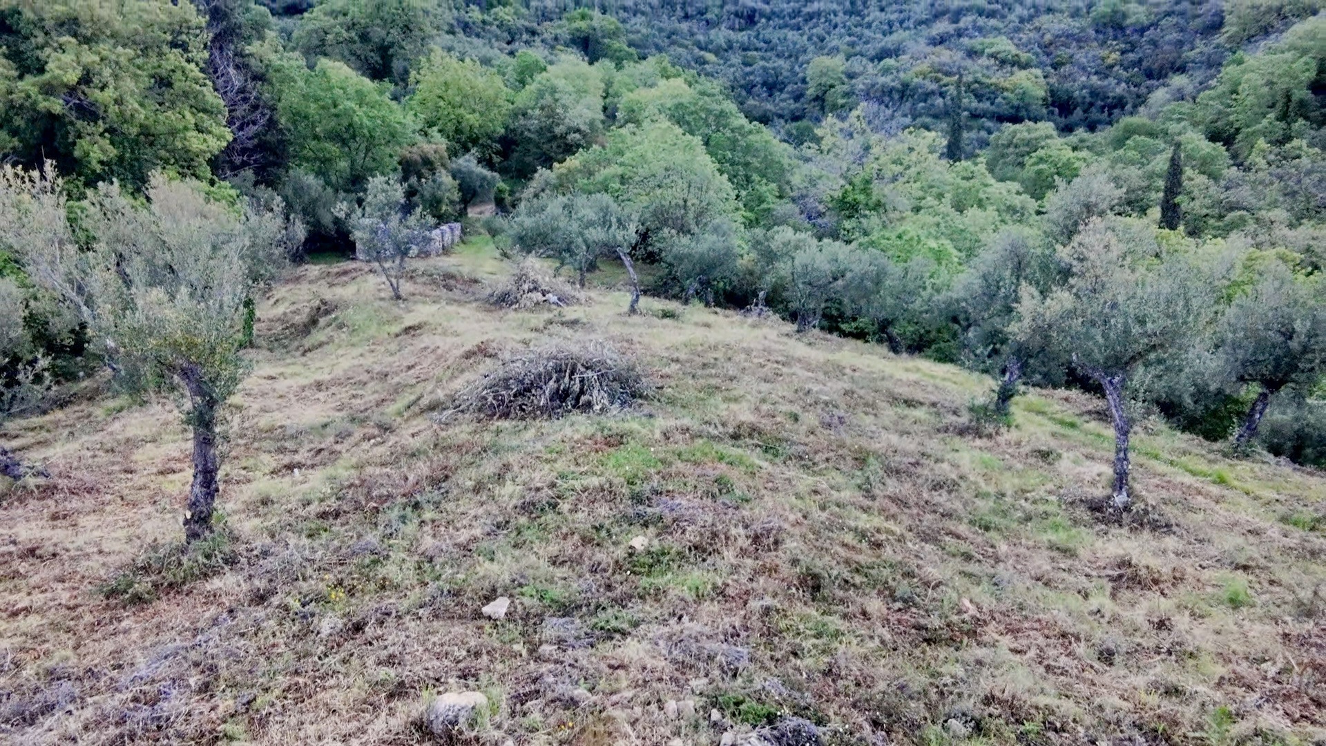Gallery image 10