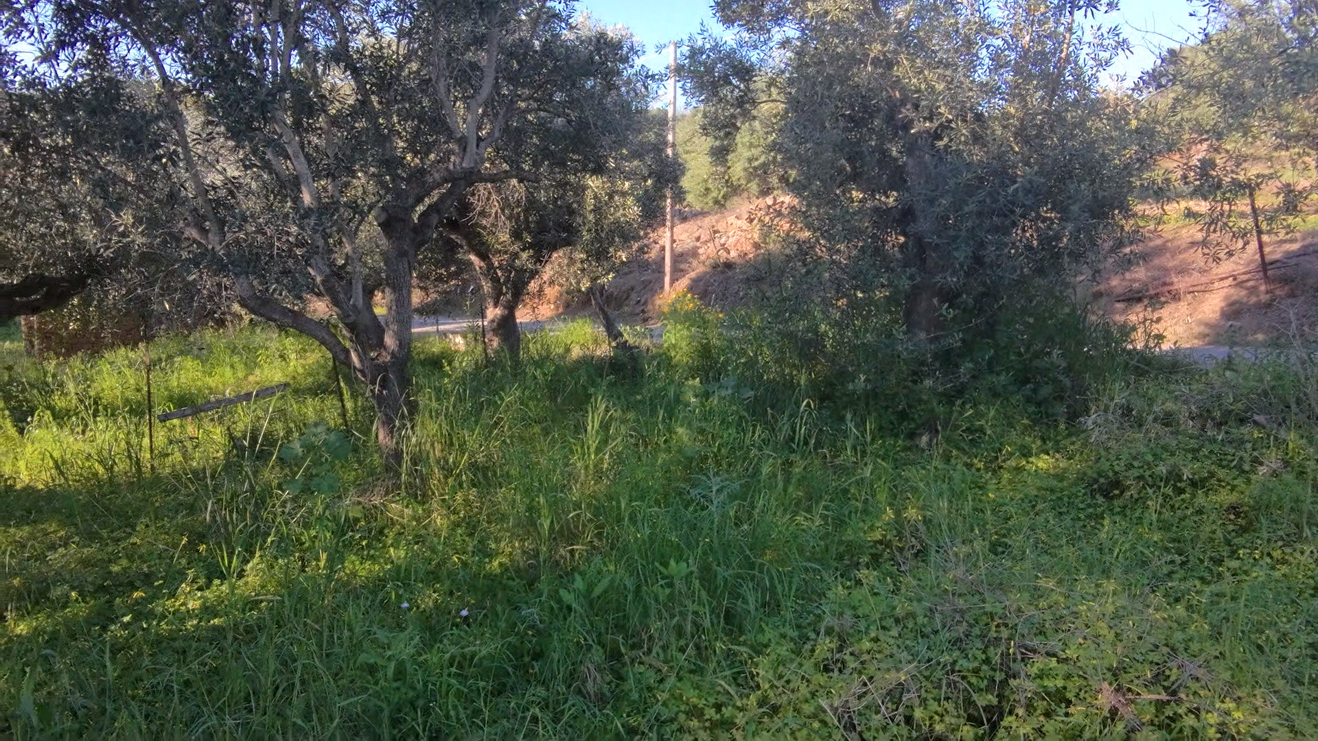 Gallery image 8