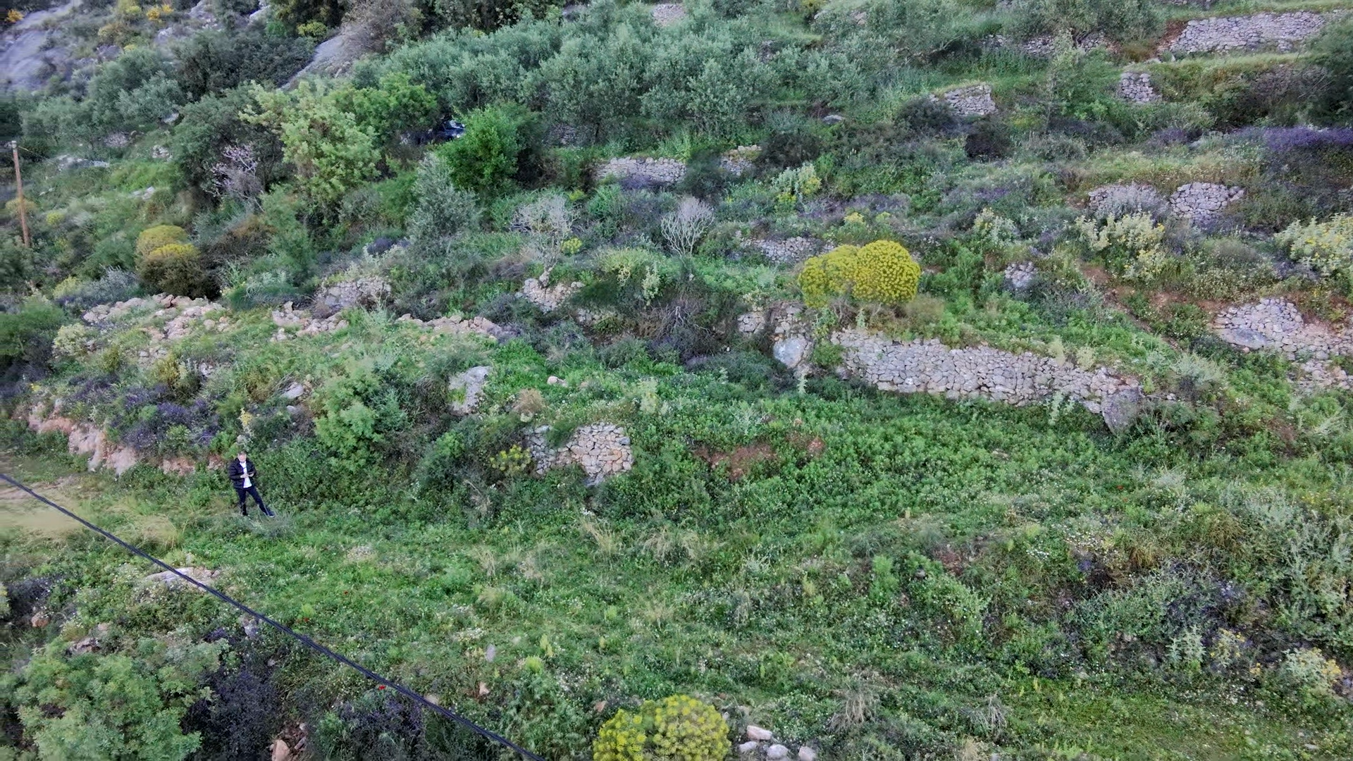Gallery image 8