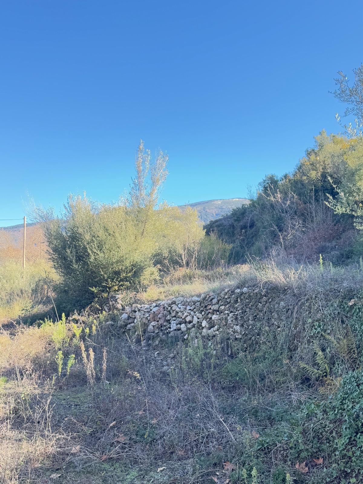 Gallery image 9