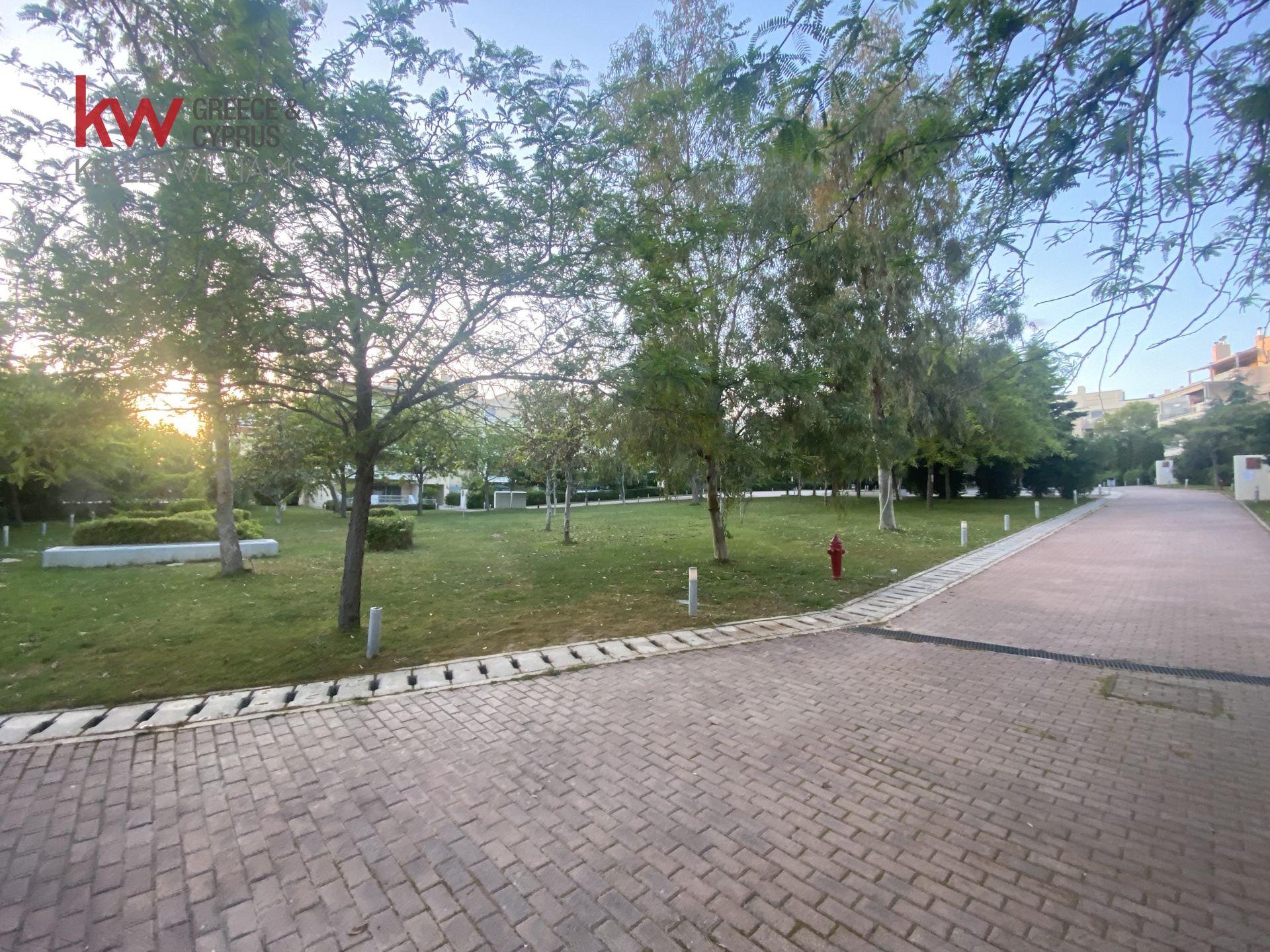 Gallery image 38