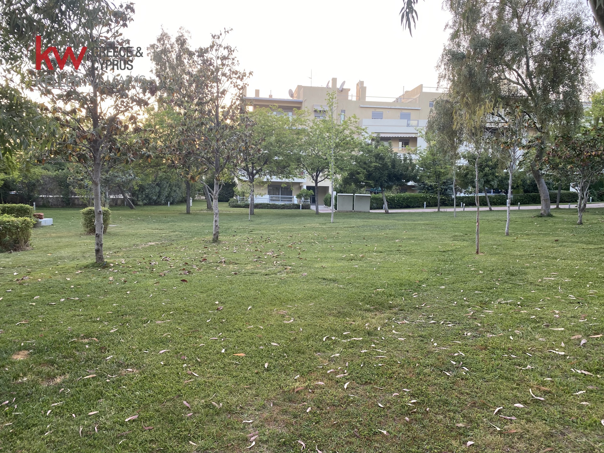 Gallery image 24