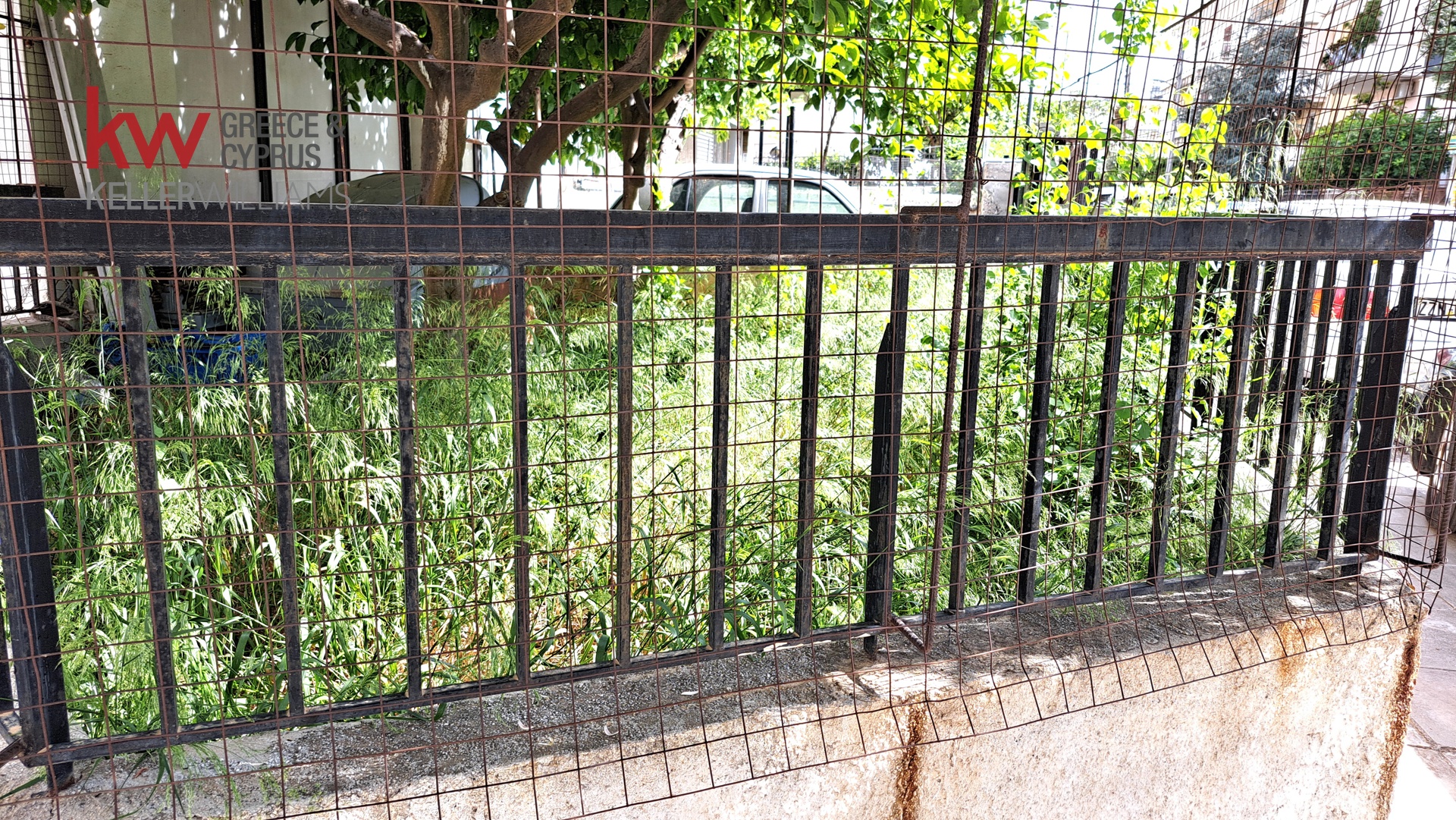 Gallery image 10
