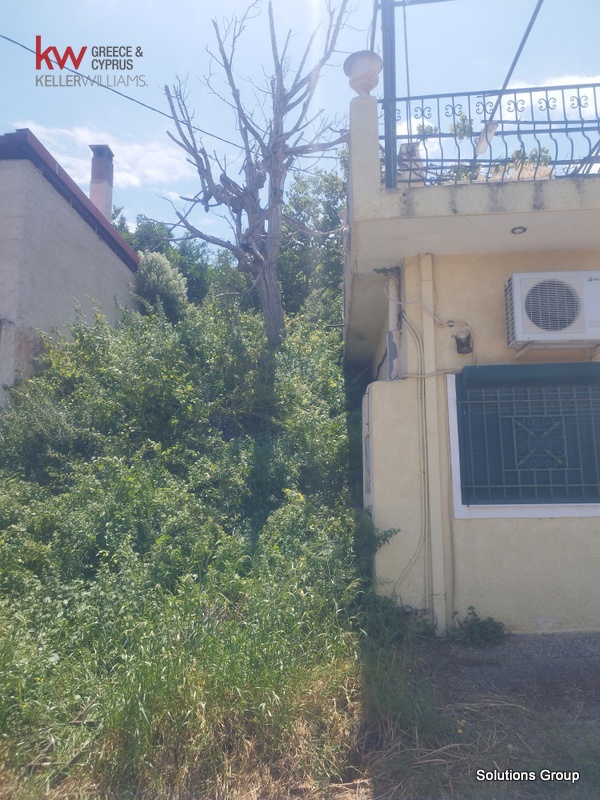 Gallery image 18