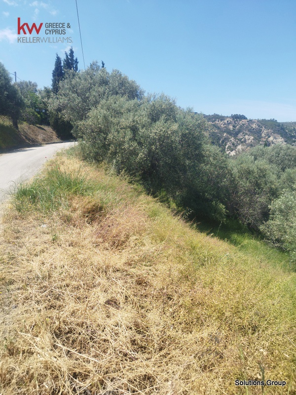 Gallery image 22