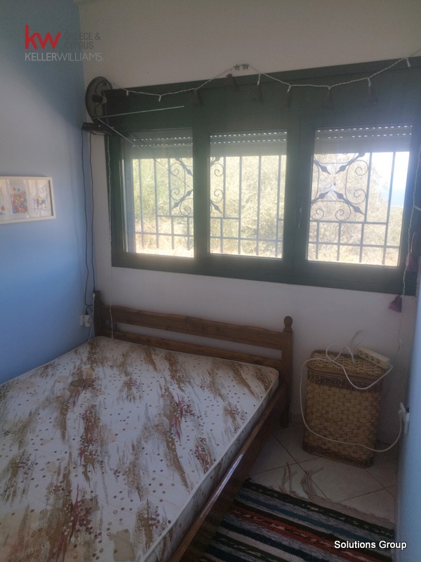 Gallery image 12