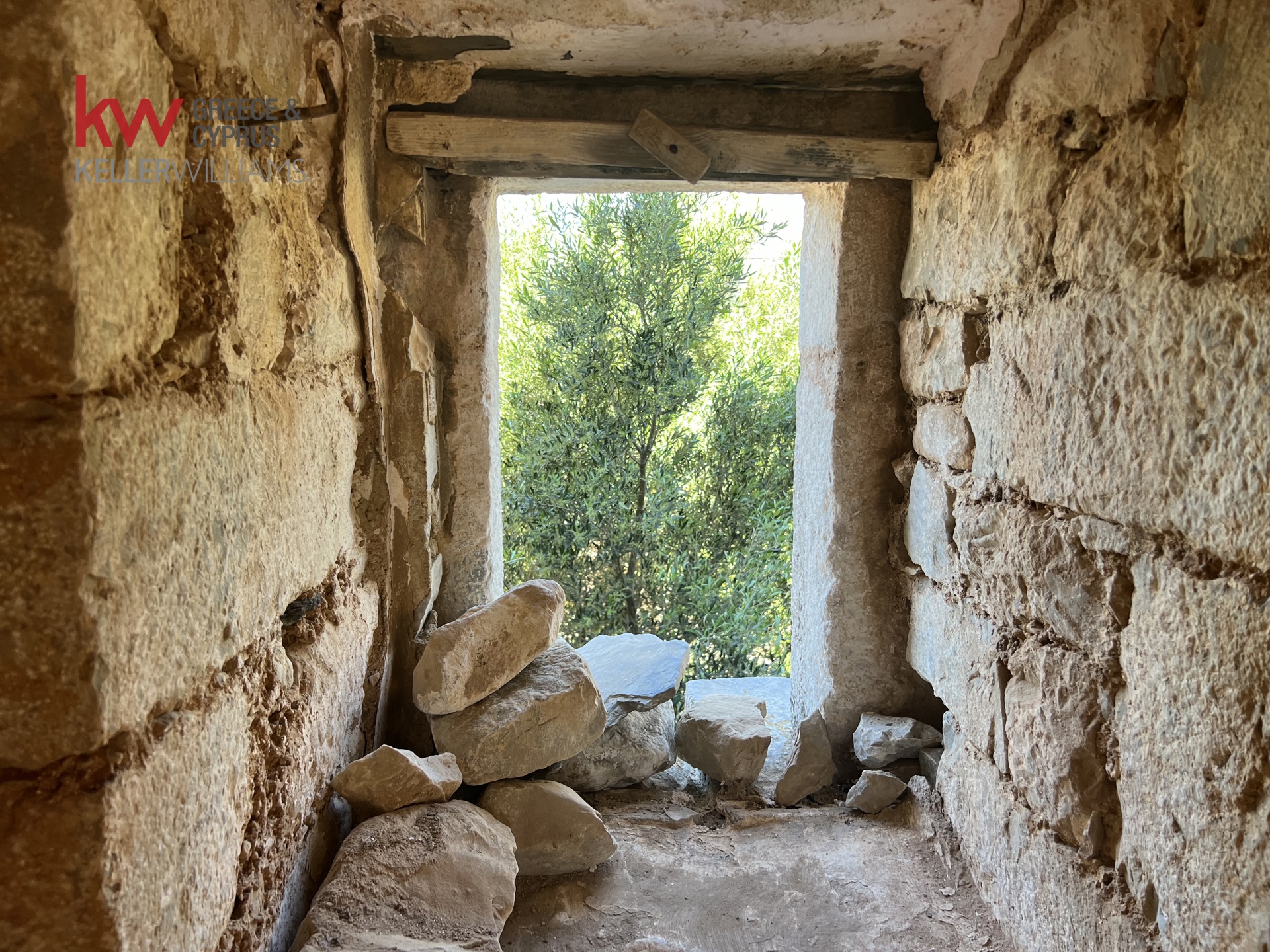 Gallery image 10