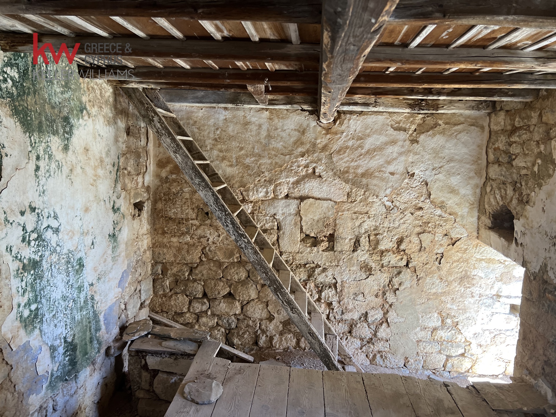 Gallery image 13