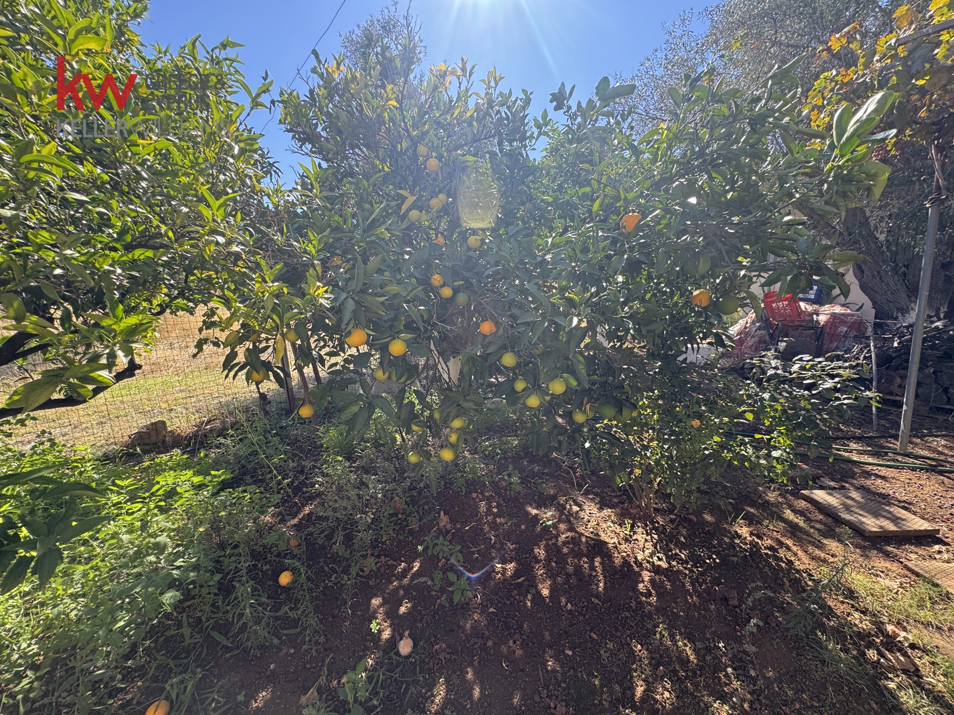 Gallery image 27